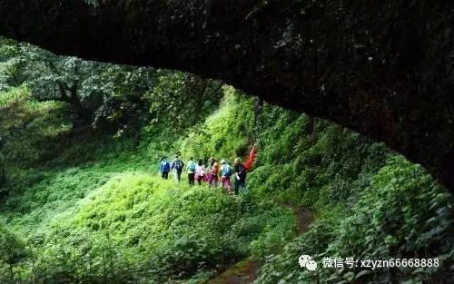 如果每月给你发放 500 元育儿补贴，你会再生一个吗？
