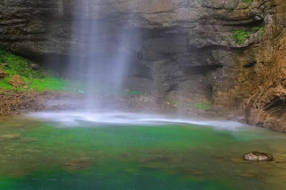 虫虫助手下载