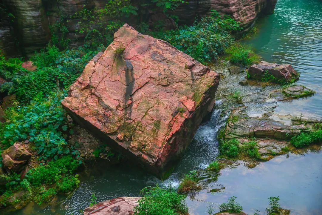 “陀枪师姐”滕丽名晒照感谢老公疼爱,曾与魏骏杰恋爱九年遭抛弃